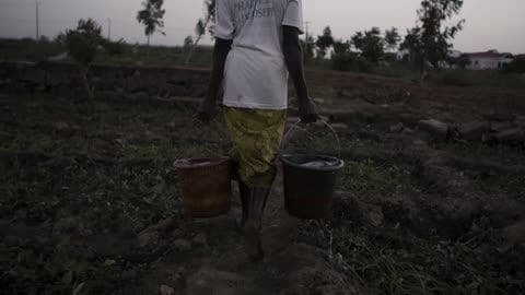 A Woman Carries Buckets of Water Across a Rural Field