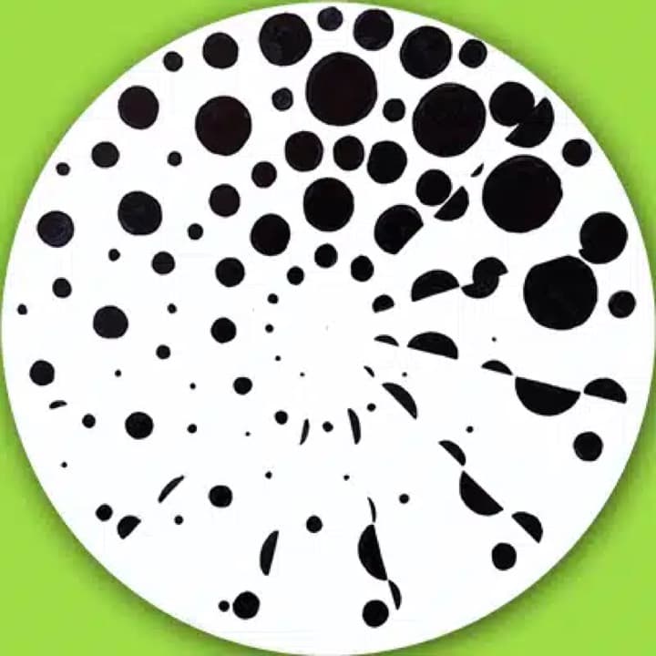 Abstract Animation