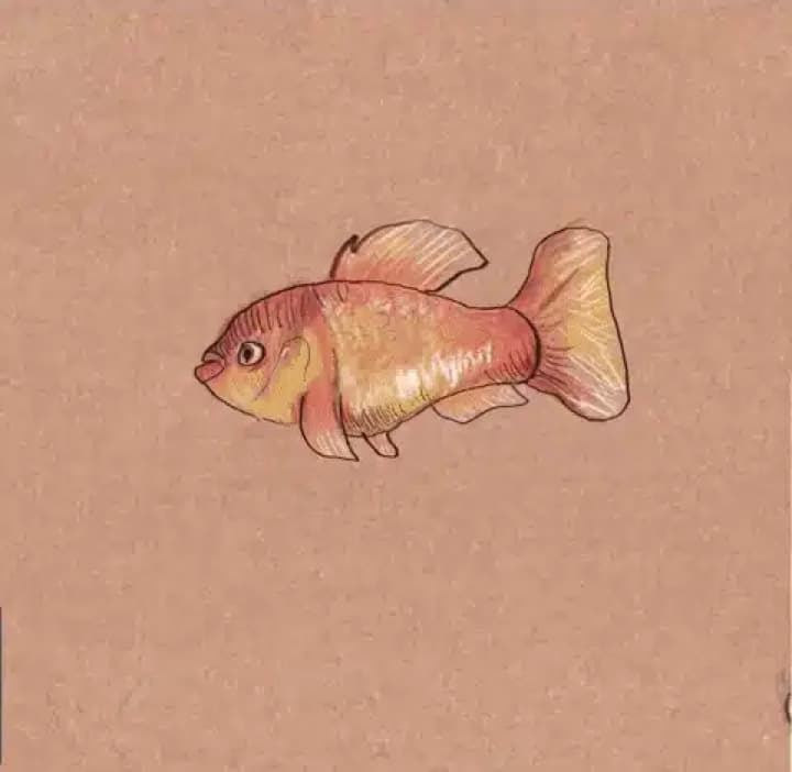 Art Animation GIF By Sofia Qin