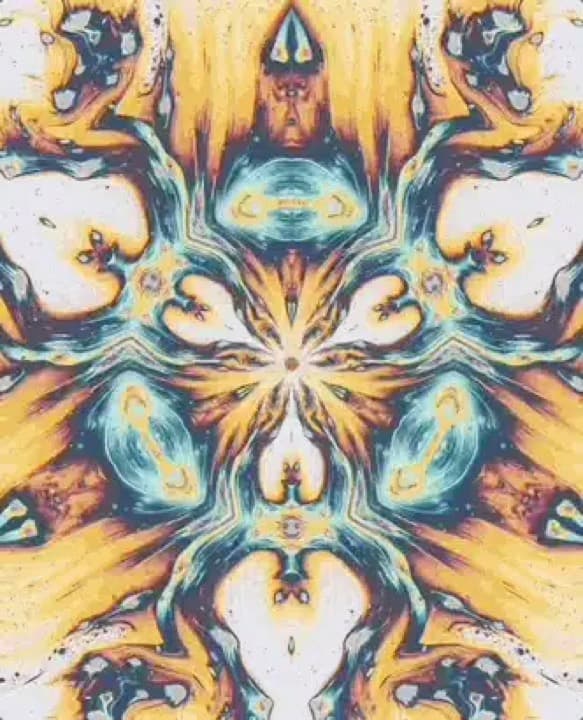 Clip By Natasha Chomko