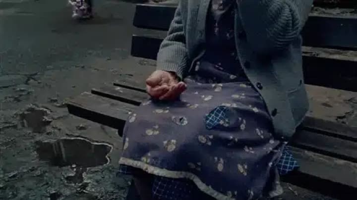 Sokół – MiłOść Zawsze Jest