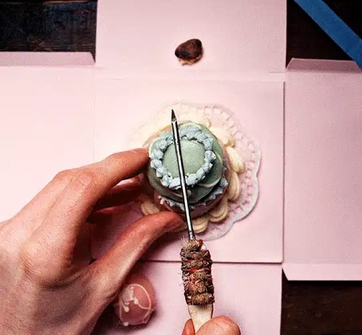 The Grand Budapest Hotel
