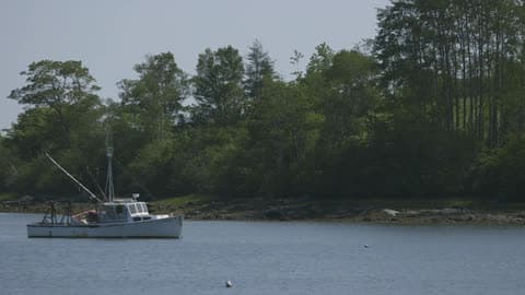 A Boat Floating In The Water Close To Shore With A Lot Of Trees