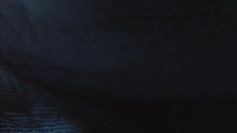 A Close Up Of Textured Fabric Or Skin In A Gray Blue Light