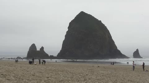 People Enjoying Their Day Out At The Beach