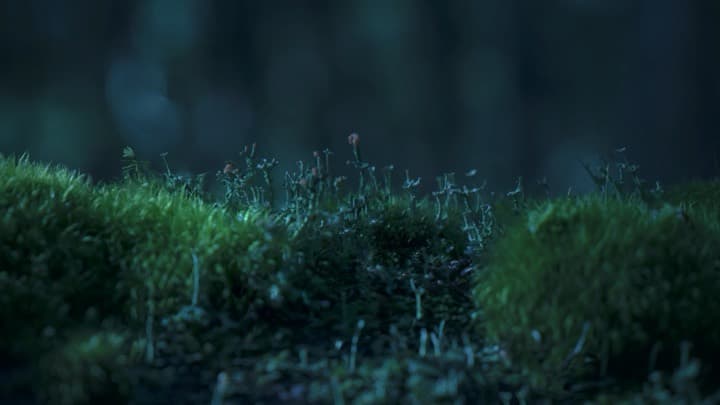 Her